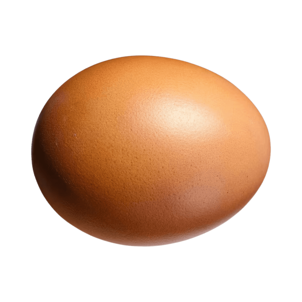Signature Native Desi Egg