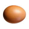 Fresh farm egg collected at dawn