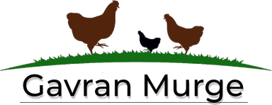 Gavran Murge Logo