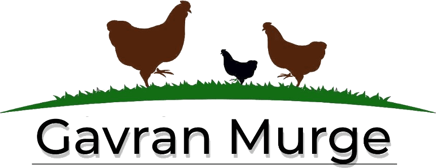 Gavran Murge Logo