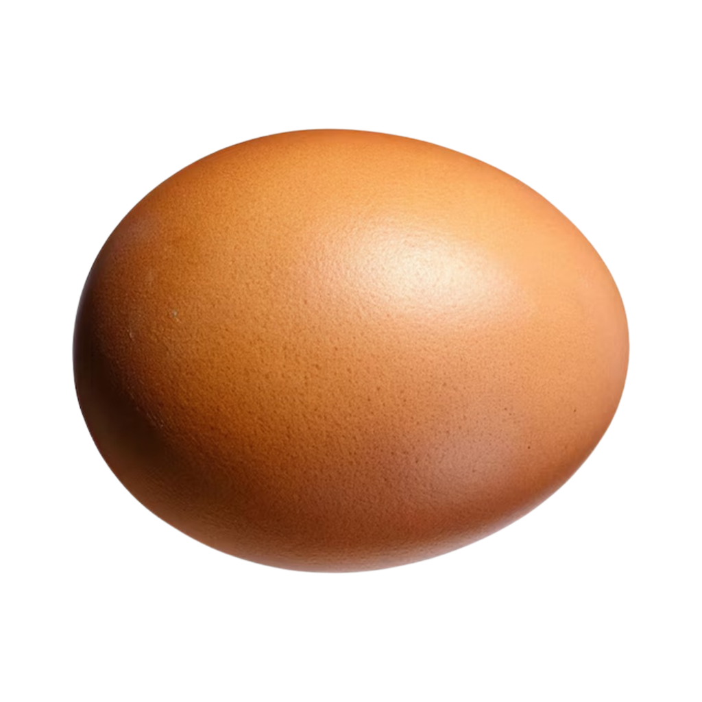Brown Egg 1